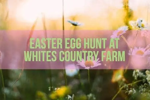 easter-egg-hunt-medford-or