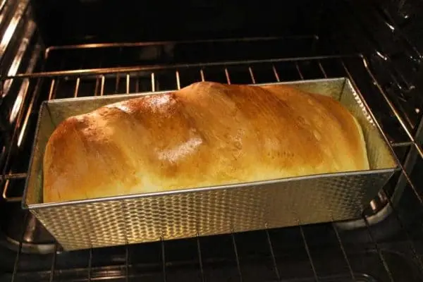 convection-bake-vs-regular-bake-e1553568005916