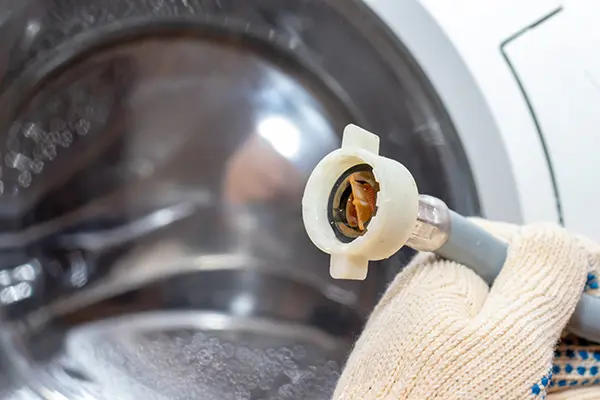 Maytag washer not draining