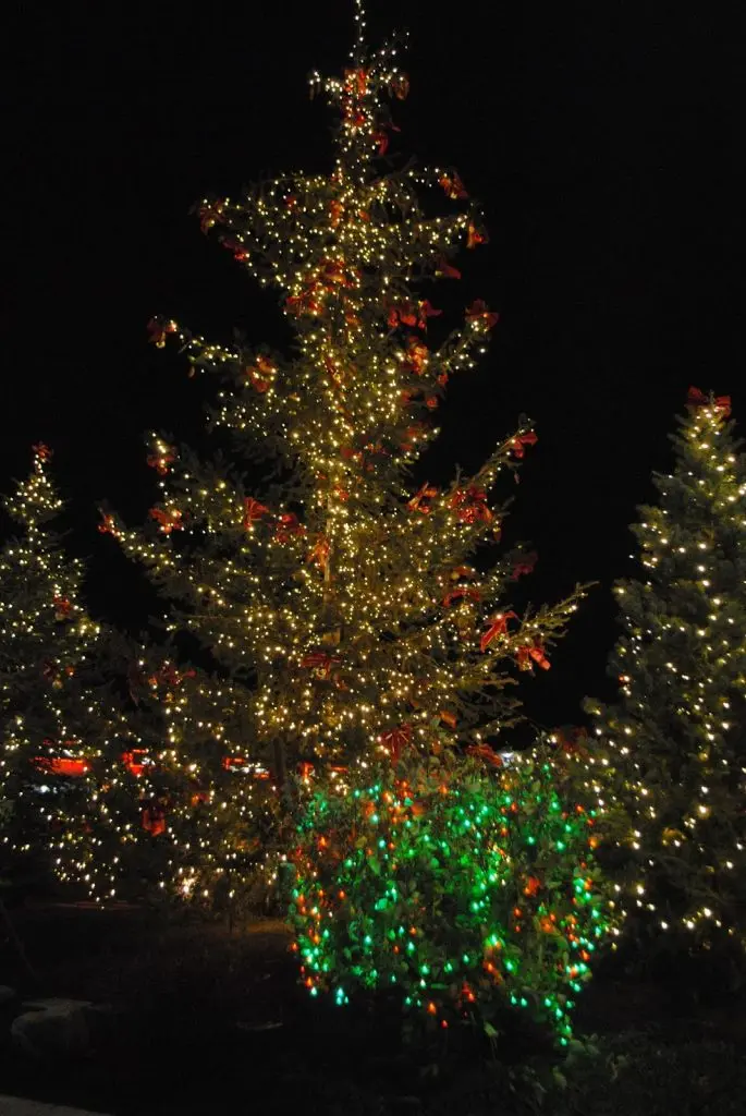 family friendly christmas events in medford