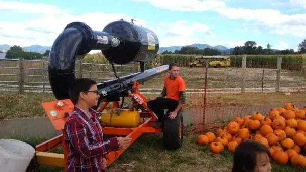 Fort Vannoy Farms Corn Maze