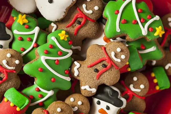 4 Easy Christmas Cookie Recipes for Beginners