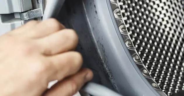 Checking for mold buildup on a front-load washer rubber gasket